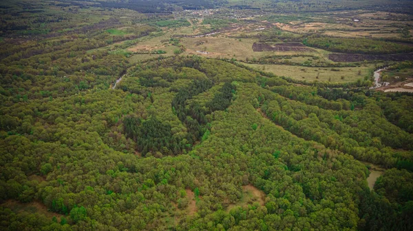 Paisaje Vida Silvestre Una Zona Forestal Fotos Aéreas Bosque Río — Foto de Stock
