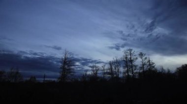 Ağaçların ve bulutların zamanı Gölde bir yaz akşamında