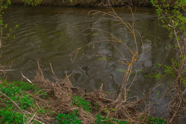 Rusya Nın Bahar Nehri Doğası Yüksek Kalite Fotoğraf — Stok fotoğraf