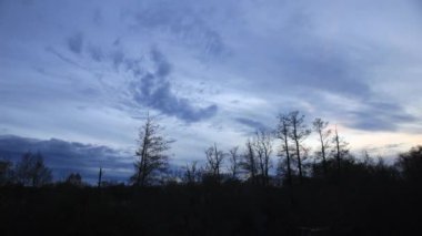 Ormanda, nehrin üzerinde uçarken