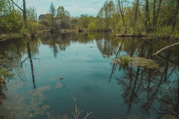 Natur Des Russischen Springflusses Hochwertiges Foto — Stockfoto