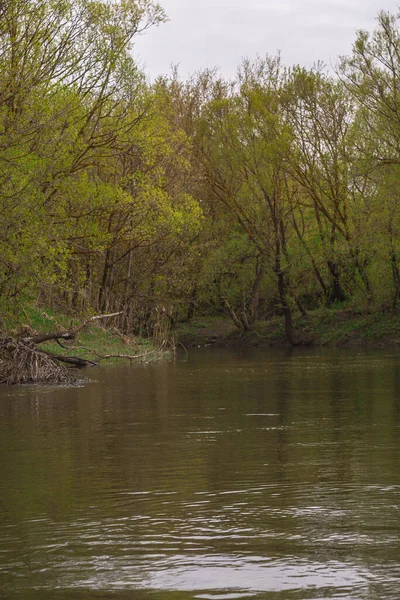 Природа Росії Весняна Річка Фотографія Високої Якості — стокове фото