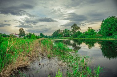 Bataklıkta yaz günbatımı manzarası. Yüksek kalite fotoğraf