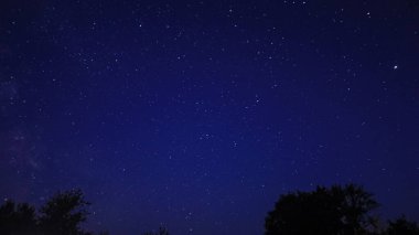 Sıcak bir yaz gecesinde yıldızlı gece gökyüzü. Yüksek kalite fotoğraf