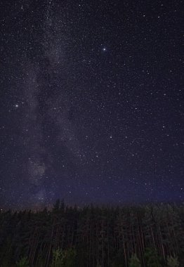 Sıcak bir yaz gecesinde yıldızlı gece gökyüzü. Samanyolu. 