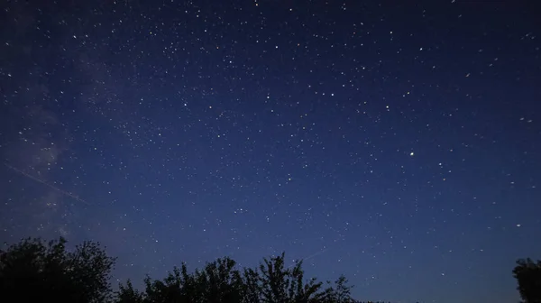 Céu Estrelado Noite Uma Noite Quente Verão Foto Alta Qualidade — Fotografia de Stock