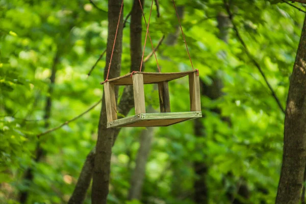 Bird Feeder Hangs Tree Park High Quality Photo — Zdjęcie stockowe