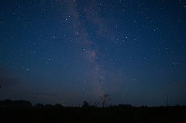 Sıcak bir yaz gecesinde yıldızlı gece gökyüzü. Samanyolu. 