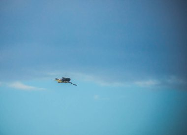 Mavi gökyüzünde bir balıkçıl uçuşu. Yüksek kalite fotoğraf