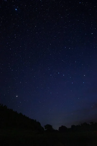 Céu Estrelado Noite Uma Noite Quente Verão Foto Alta Qualidade — Fotografia de Stock