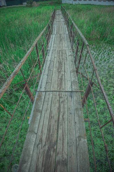 Puente Sobre Río Verde Cubierto Vegetación Foto Alta Calidad — Foto de Stock