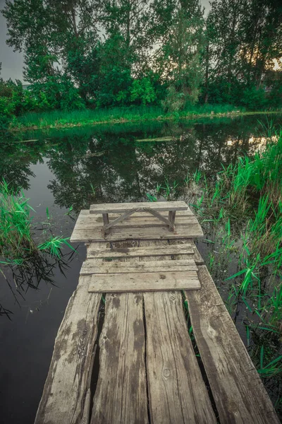 Pont Sur Rivière Verte Envahie Photo Haute Qualité — Photo