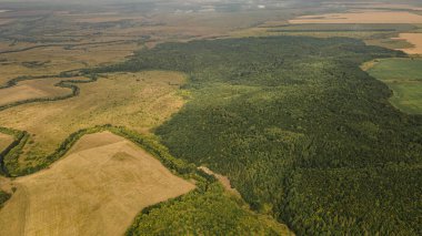 Vahşi Rus iç kesimlerinde yaz manzarası. hava fotoğrafçılığı