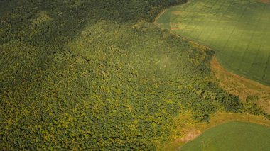 Rusya 'nın vahşi iç bölgelerinde yaz manzarası