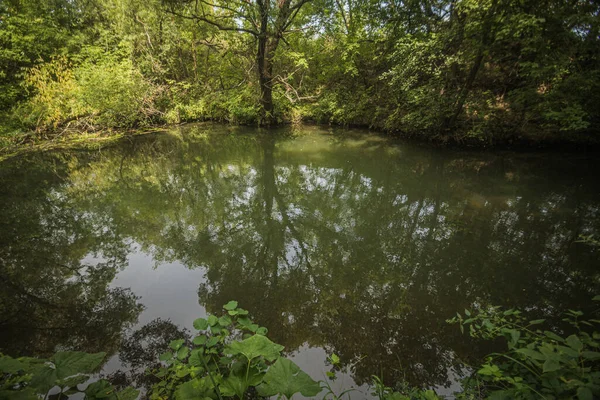 Fiume Bolshoy Chembar Estate Foto Alta Qualità — Foto Stock