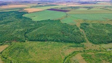Vahşi Rus iç kesimlerinde yaz manzarası. hava fotoğrafçılığı