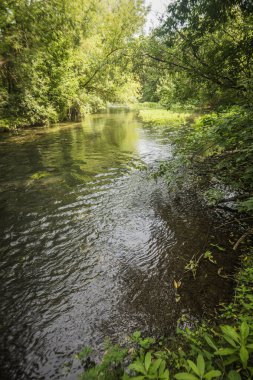Yazın Bolşoy Chembar Nehri. Yüksek kalite fotoğraf
