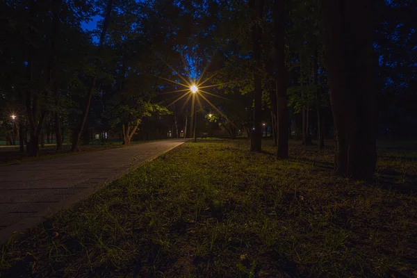 Park Éjjeli Lámpása Moszkvában Kiváló Minőségű Fénykép — Stock Fotó