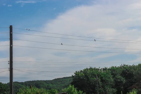 Pájaro Está Sentado Sobre Cables Sobre Fondo Cielo Azul Foto — Foto de Stock
