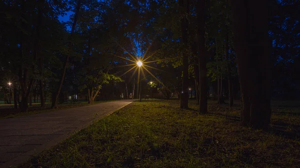 Park Éjjeli Lámpása Moszkvában Kiváló Minőségű Fénykép — Stock Fotó