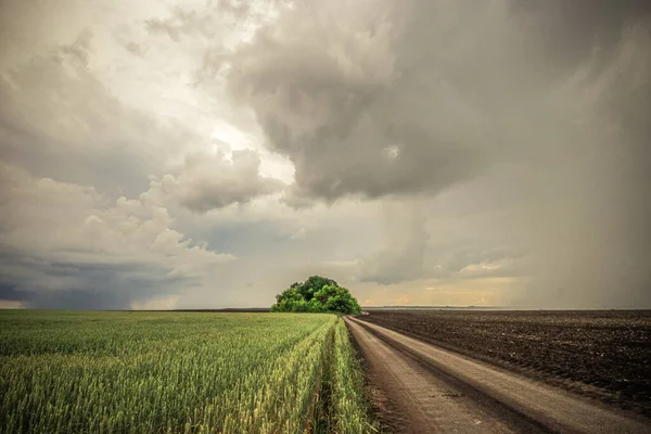 暗い空に畑や雲を蒔いた 高品質の写真 ロイヤリティフリーのストック画像