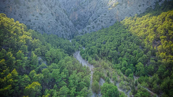 Горное Ущелье Турции Регионе Кемер Высокое Качество Фото — стоковое фото