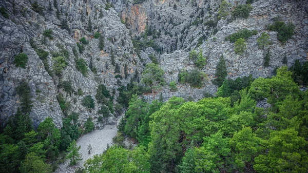 Горное Ущелье Турции Регионе Кемер Высокое Качество Фото — стоковое фото