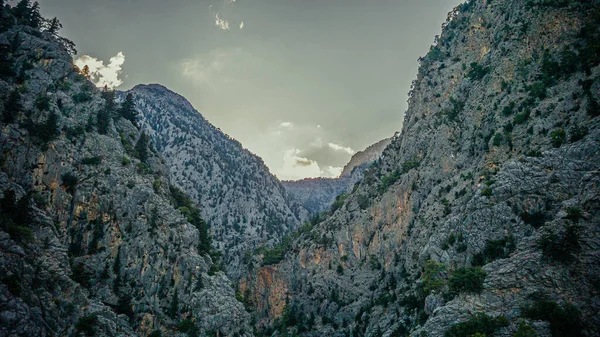 Desfiladeiro Montanha Turquia Região Kemer Foto Alta Qualidade — Fotografia de Stock