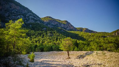 Beldibi köyündeki kurumuş bir nehrin yatağı. Yüksek kalite fotoğraf
