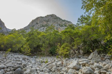 Beldibi köyündeki kurumuş bir nehrin yatağı. Yüksek kalite fotoğraf