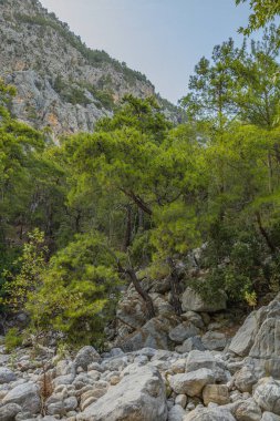 Beldibi köyündeki kurumuş bir nehrin yatağı. Yüksek kalite fotoğraf