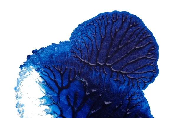 beyaz kağıt arkaplan üzerindeki mavi soyut akrilik boya renk dokusu rorschach mürekkep lekesi yöntemi kullanılarak