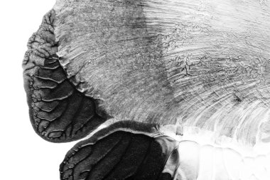 beyaz kağıt arkaplan üzerinde siyah beyaz soyut akrilik boya renk dokusu rorschach mürekkep lekesi yöntemi kullanarak