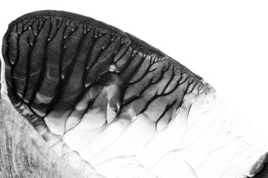 beyaz kağıt arkaplan üzerinde siyah beyaz soyut akrilik boya renk dokusu rorschach mürekkep lekesi yöntemi kullanarak