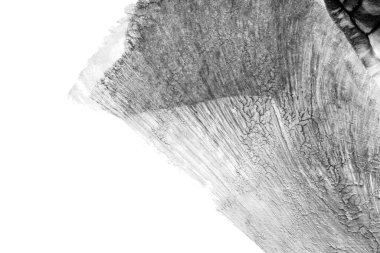 beyaz kağıt arkaplan üzerinde siyah beyaz soyut akrilik boya renk dokusu rorschach mürekkep lekesi yöntemi kullanarak