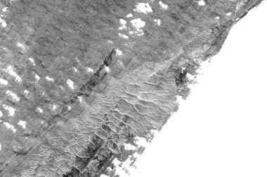 beyaz kağıt arkaplan üzerinde siyah beyaz soyut akrilik boya renk dokusu rorschach mürekkep lekesi yöntemi kullanarak