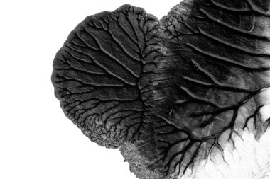 beyaz kağıt arkaplan üzerinde siyah beyaz soyut akrilik boya renk dokusu rorschach mürekkep lekesi yöntemi kullanarak