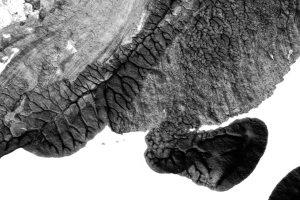 beyaz kağıt arkaplan üzerinde siyah beyaz soyut akrilik boya renk dokusu rorschach mürekkep lekesi yöntemi kullanarak