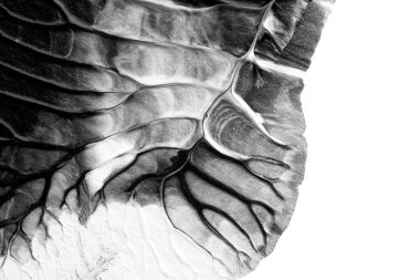 beyaz kağıt arkaplan üzerinde siyah beyaz soyut akrilik boya renk dokusu rorschach mürekkep lekesi yöntemi kullanarak