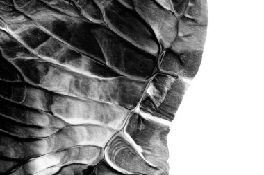 beyaz kağıt arkaplan üzerinde siyah beyaz soyut akrilik boya renk dokusu rorschach mürekkep lekesi yöntemi kullanarak