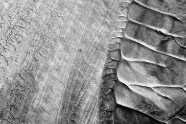 beyaz kağıt arkaplan üzerinde siyah beyaz soyut akrilik boya renk dokusu rorschach mürekkep lekesi yöntemi kullanarak