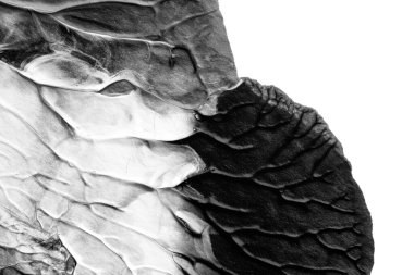 beyaz kağıt arkaplan üzerinde siyah beyaz soyut akrilik boya renk dokusu rorschach mürekkep lekesi yöntemi kullanarak