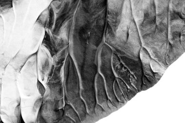 beyaz kağıt arkaplan üzerinde siyah beyaz soyut akrilik boya renk dokusu rorschach mürekkep lekesi yöntemi kullanarak