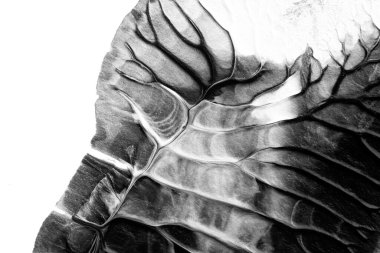 beyaz kağıt arkaplan üzerinde siyah beyaz soyut akrilik boya renk dokusu rorschach mürekkep lekesi yöntemi kullanarak