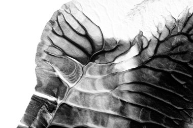 beyaz kağıt arkaplan üzerinde siyah beyaz soyut akrilik boya renk dokusu rorschach mürekkep lekesi yöntemi kullanarak