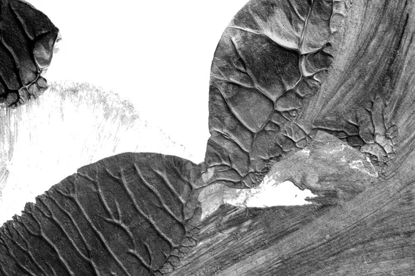 Черно Белая Абстрактная Акриловая Цветовая Текстура Фоне Белой Бумаги Методом — стоковое фото
