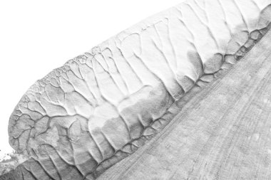 beyaz kağıt arkaplan üzerinde siyah beyaz soyut akrilik boya renk dokusu rorschach mürekkep lekesi yöntemi kullanarak