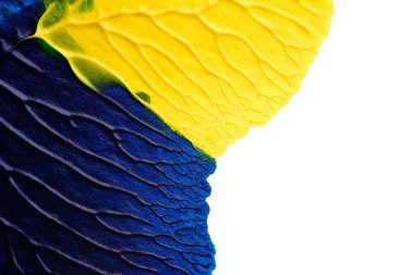 mavi yeşil soyut akrilik boya renk dokusu beyaz kağıt arkaplan üzerinde rorschach mürekkep lekesi yöntemi kullanılarak