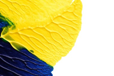 mavi yeşil soyut akrilik boya renk dokusu beyaz kağıt arkaplan üzerinde rorschach mürekkep lekesi yöntemi kullanılarak