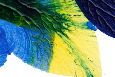 mavi yeşil soyut akrilik boya renk dokusu beyaz kağıt arkaplan üzerinde rorschach mürekkep lekesi yöntemi kullanılarak